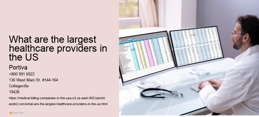 What are the largest healthcare providers in the US